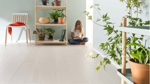 Timberwise - White Cream